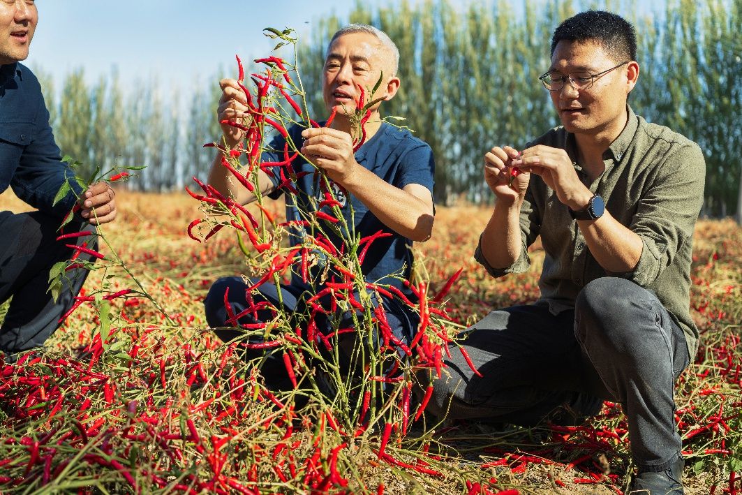 中国科学家获联合国环境规划署2024年“地球卫士奖”